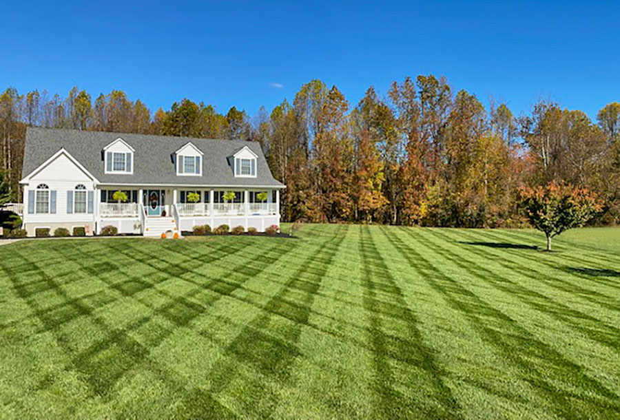 Image of a manicured lawn with percision to detail work done by JMC Landscaping