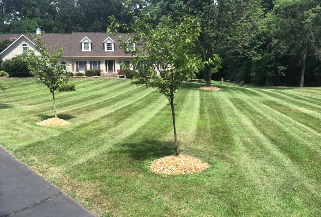 Image of a pristine yard, carefully maintained by JMC Landscaping